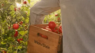 Winn-Dixie Checks Every Box