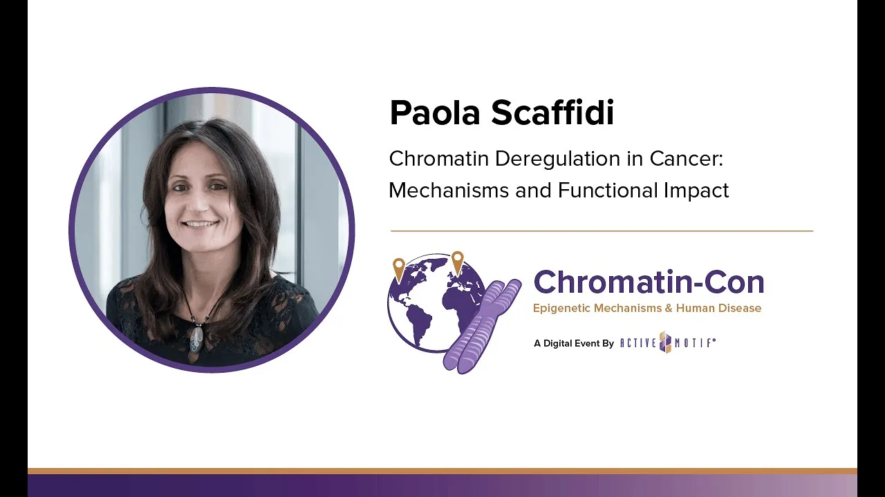 Paola Scaffidi - Chromatin Deregulation in Cancer: Mechanisms and Function: Chromatin-Con: 2021