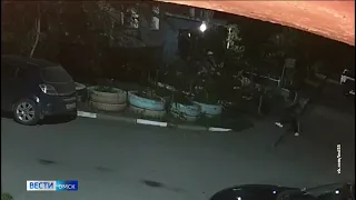 В Омске разыскивают уличных «трафаретчиков»