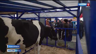Омичей приглашают принять участие в Сибирской агарной неделе