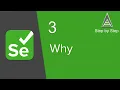 Selenium Beginner Tutorial 3 - Why To Learn Selenium