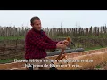 Archeologie in Zuid-Holland: Bouwen zoals vroeger