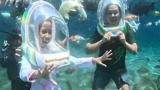 Menyelam hampir 1 jam dikerubitin ikan Koi lucu gemuk dan menggemaskan 