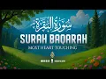 Surah Al-Baqarah Full (سورة البقرة) | Word's Most Beautiful Recitation of Surah Baqarah | WQ