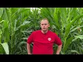 Download Lagu Agrility: Digitale teeltondersteuning van LG