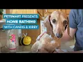 PetSmart Presents How to Give Your Dog a Bath at Home