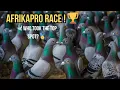 Afrikapro One Loft Race Thrilling Race 4 Highlights in South Africa