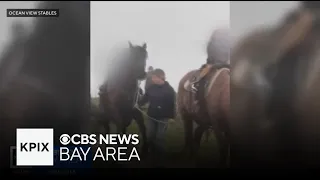 SF Woman Arrested Suspected Of Pulling Horse S Tail During Youth S Riding Lesson  SF Woman Arrested Suspected Of Pulling Horse S Tail During Youth S Riding Lesson