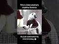 Zoboomafoo Family Update