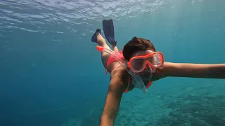 Meanwhile in Curacao