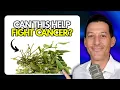 Download Lagu Mistletoe Injections: The Cancer Therapy You Haven’t Heard About