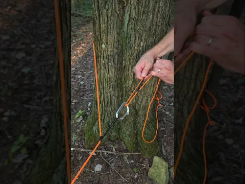 Adding prusik loops to hold tension on the trucker's hitch