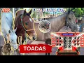 Download Lagu Repentes do vaqueiro cueca Relíquias Recordado o Passado  - Aboios Toadas e Repentes 