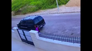 نجاة طفلة من هجوم مجموعة من الكلاب الضالة في العقبة دندنها