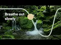 Download Lagu Calming 4-7-8 Breath | Inhale 4, Hold 7, Exhale 8 | Slow down and relax