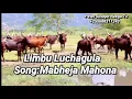 Download Lagu Limbu Luchagula - Mabheja Mahona (Official Music Audio 2021)