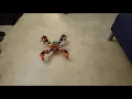 Raspberry pi quadruped