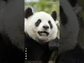 Download Lagu Jiuzhaigou Valley, China