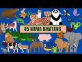 Download Lagu Mengenal nama binatang atau hewan dan suaranya