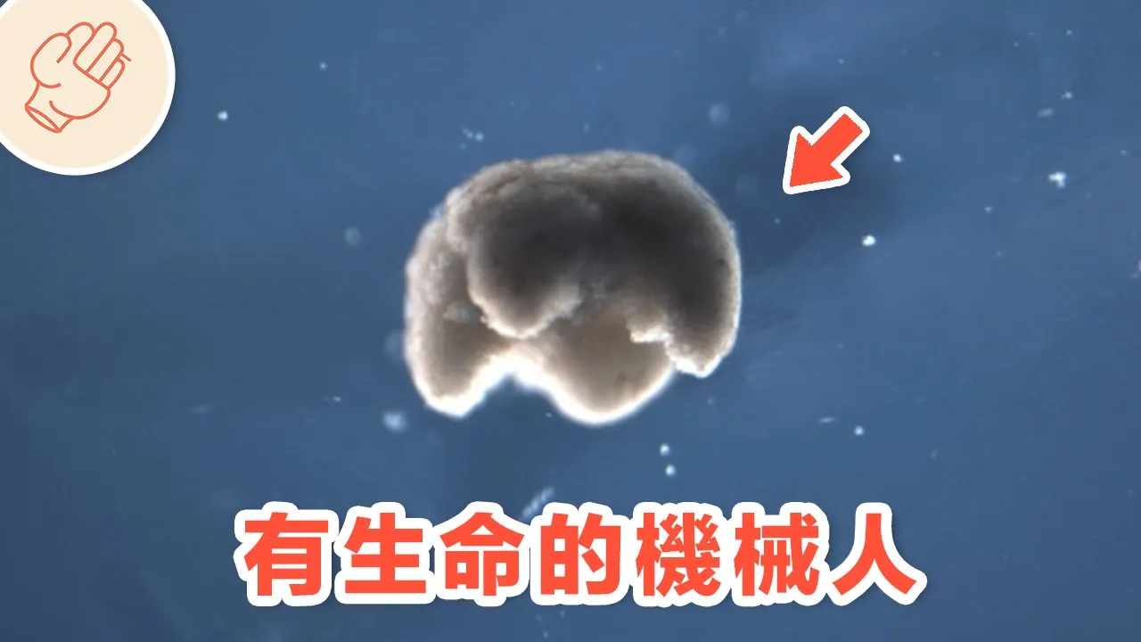 世上第一個有生命的機器人｜每月五件小事