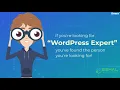 Fix wordpress errors and issues in 24 hours 1
