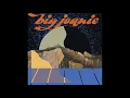 Big Joanie - Cranes In The Sky (Solange Cover)