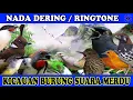 Download Lagu KICAUAN KUTILANG NADA DERING||RINGTONE SUARA BURUNG MERDU BANGET NADA DERING JERNIH