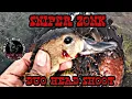 Download Lagu Berburu belibis surabaya  |part2| duo head shoot (SniperZonk) #duckhunter
