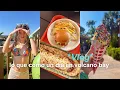 mini VLOG volcano bay