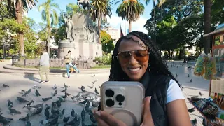 روح سالتا کاوش در زیبایی و صحنه غذا 