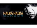 Download Lagu Halka Halka Suroor | DJ Shadow Dubai X Farhan Saeed | Ustad Nusrat Fateh Ali Khan Tribute