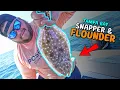 Catching TONS of SNAPPER FLOUNDER in Tampa Bay