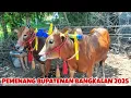 Download Lagu SAPI INI JUARA DI KABUPATENAN BANGKALAN 2025 || MERAIH TIKET PIALA PRESIDEN 🔥🔥