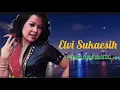 Lagu ELVI SUKAESIH  -  HADIAH DARI JEPANG