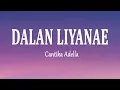 Download Lagu Cantika Adella - DALAN LIYANE (Lirik Lagu)