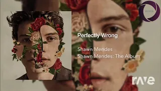 Download Shawn Mendes  The Album 2018 Full Album720 MP3