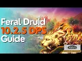 Feral Druid 10 2 5 Beginner Guide for Raid M