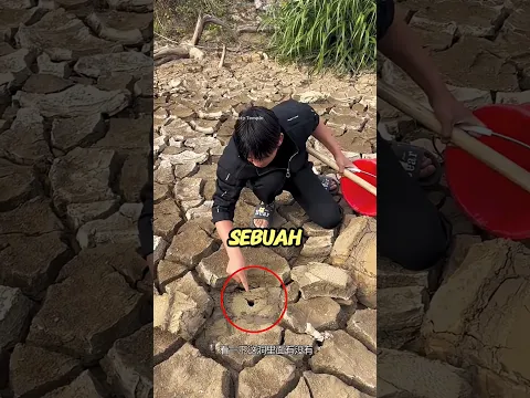 rahasia di dasar sungai yang mengering #shorts