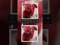 Free Capcut quality tutorial Capcut Tutorial
