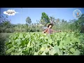 Download Lagu Genjer-Genjer - Surya Tamang (Ethno Patrol Banyuwangi Version)