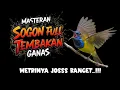 Lagu Mewah poool ! MASTERAN SOGON MATERI SULTAN PALING DI CARI‼️