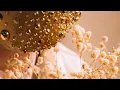 Home - MR TOUT LE MONDE
