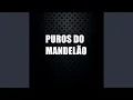 Download Lagu Puros do Mandelão
