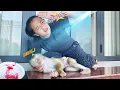 Download Lagu What's going on??? Monkey Lyly was lying on the floor when she just came home from playing.