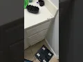 Aptive Pest Control Turned My Home Into An Ant Farm