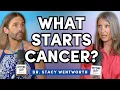 Download Lagu Dr. Stacy Wentworth: What Really Causes Cancer?