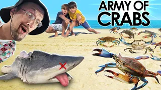 Download POOR Shark \u0026 the CRAB Invasion!  (FV Family gets Green Goblin @ the Beach) MP3