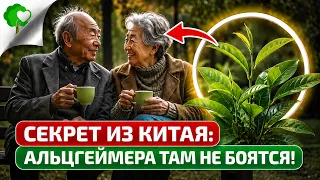 Вы никогда НЕ ПОТЕРЯЕТЕ ПАМЯТЬ и ОСТАНЕТЕСЬ собой! Ранние признаки Альцгеймера