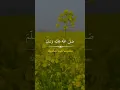 Download Lagu Sholallahu 'ala Muhammad #shorts
