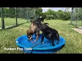 Baker Veterinary Clinic Virtual Tour 2018